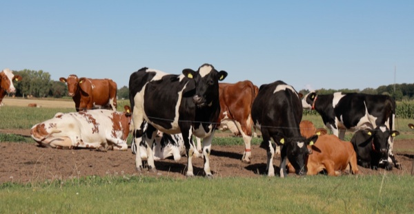 1757585933733586.jpg 22081757419118_.pic_hd_副本.jpg