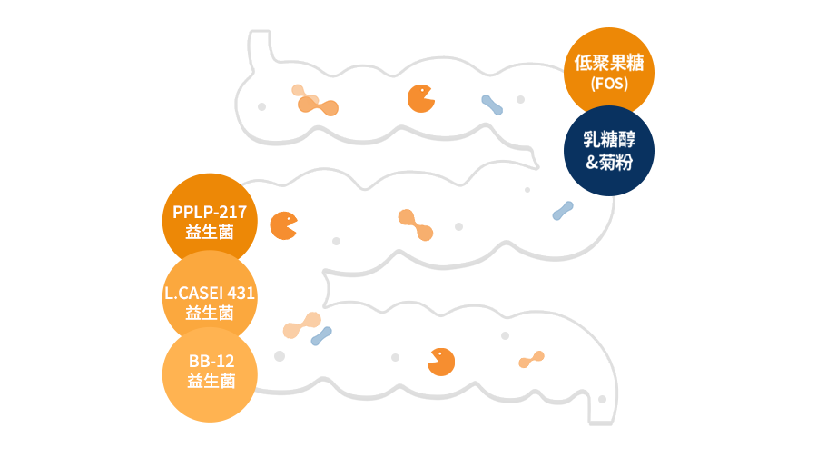 1770364804708840.png 03.png